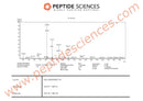 BPC-157 TB-500 20mg Wolverine stack (Blend) - Peptide Sciences - Peptídeo