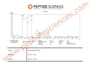 CJC-1295 (No DAC) GHRP-6 | 10mg (Blend) - Peptide Sciences - Peptídeo
