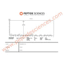 MOTS-c 10mg - Peptide Sciences - Peptídeo